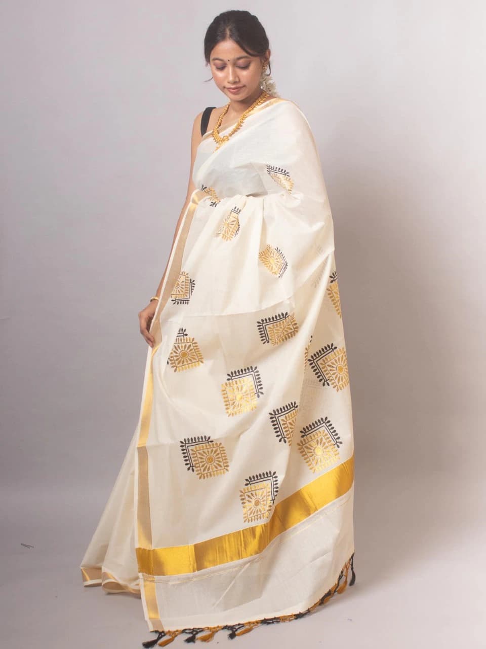 Cotton Embroidered Saree with Blouse 2